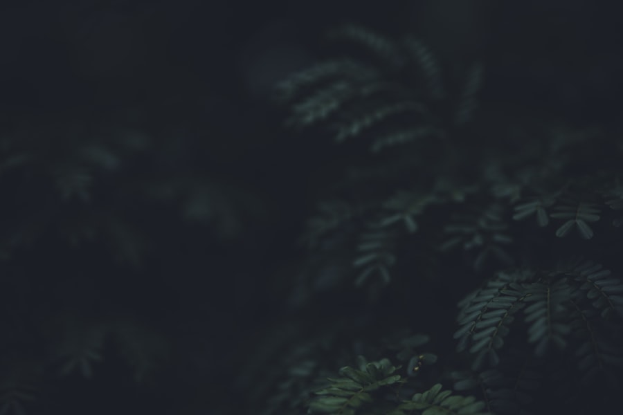 Photo lawyer marketing