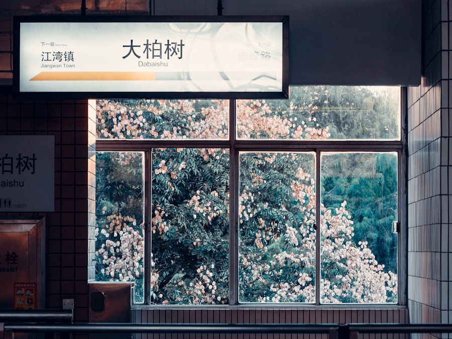 Photo legal seo company