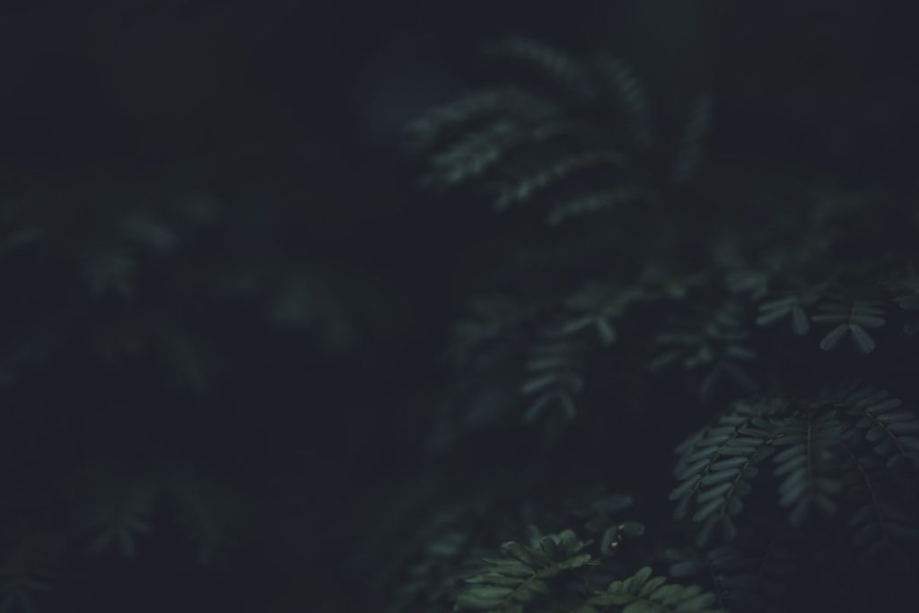 Photo lawyer marketing